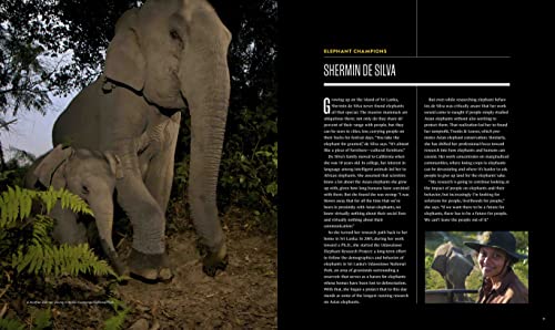 Elephant Secrets Unveiled