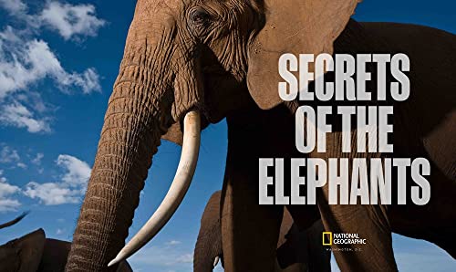 Elephant Secrets Unveiled