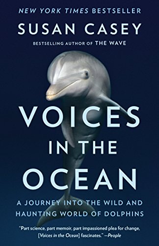Dive into the Enchanting Dolphin World