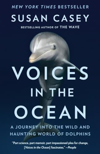 Dive into the Enchanting Dolphin World