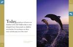 Dolphins: The Incredible Oceanic Creatures