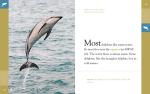 Dolphins: The Incredible Oceanic Creatures