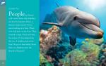 Dolphins: The Incredible Oceanic Creatures