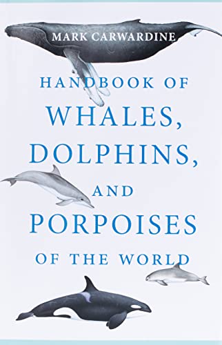 Dolphins: A Comprehensive Guide