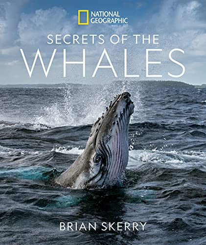 Whale Secrets Unveiled