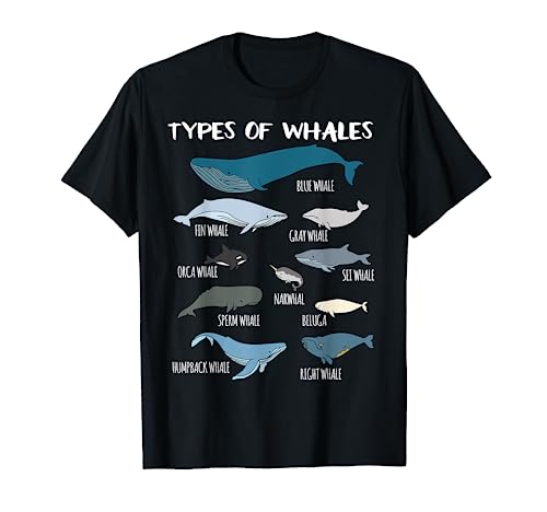 Whales Guide T-Shirt: Adorable Ocean Creatures