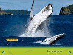 Whales: National Geographic PreReader