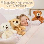 Cute Small Teddy Bears Set of 3 Plush Toys