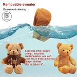 Cute Brown Hoodie Teddy Bear Plush Toy 11.8