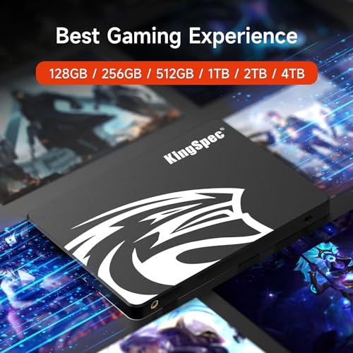 KingSpec 1TB 2.5" SATA 3 SSD for Gaming