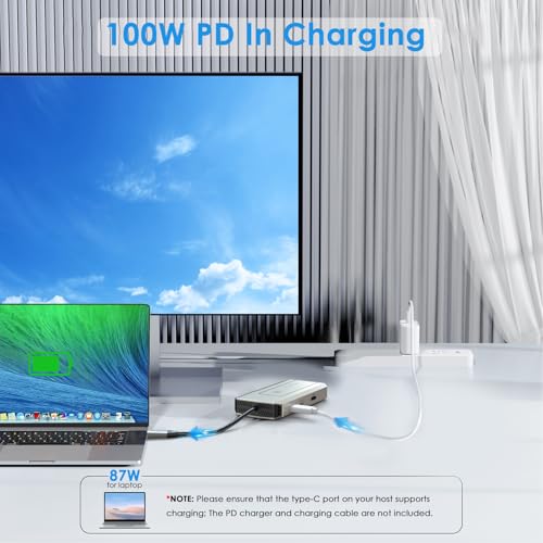 WAVLINK 4K 8-in-1 USB-C Docking Station