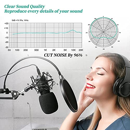 Enocos Studio Cardioid Microphone for Gaming & Streaming