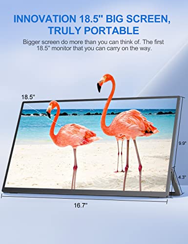 EVICIV 18.5" 120Hz Portable Gaming Monitor