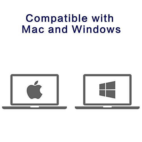 TERRAMASTER D2-310 USB Type-C RAID Enclosure