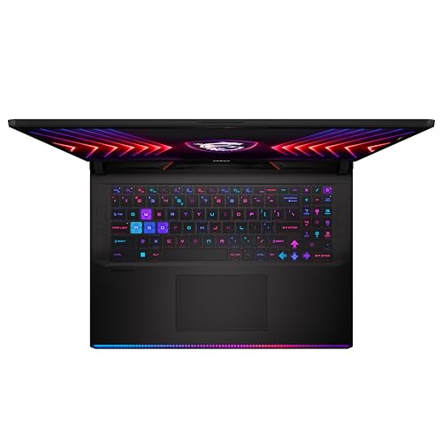 MSI Raider 17" QHD+ 240Hz Gaming Laptop - Core Black