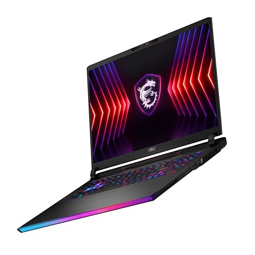 MSI Raider 17" QHD+ 240Hz Gaming Laptop - Core Black
