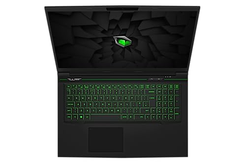 17.3'' FHD Gaming Laptop | Intel Core i7 | RTX 4060