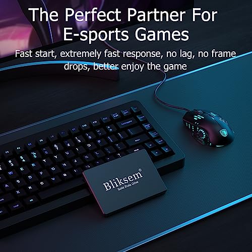 Bliksem 1TB SSD for Gaming Laptop and PC