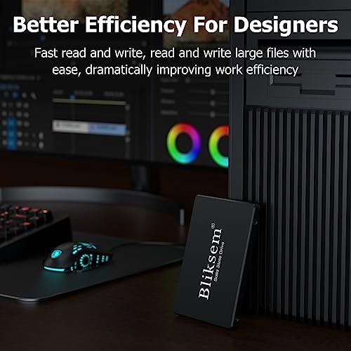 Bliksem 1TB SSD for Gaming Laptop and PC