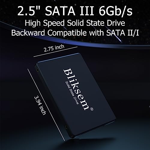 Bliksem 1TB SSD for Gaming Laptop and PC