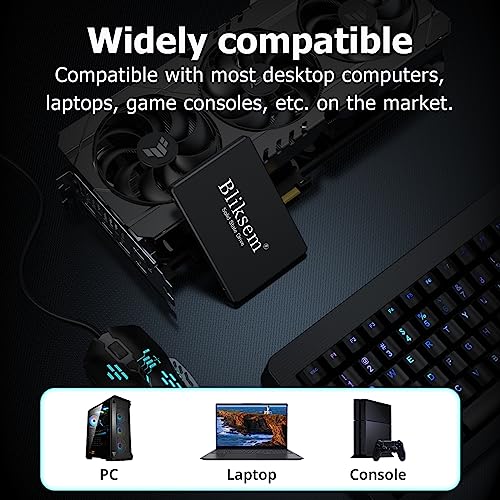 Bliksem 1TB SSD for Gaming Laptop and PC