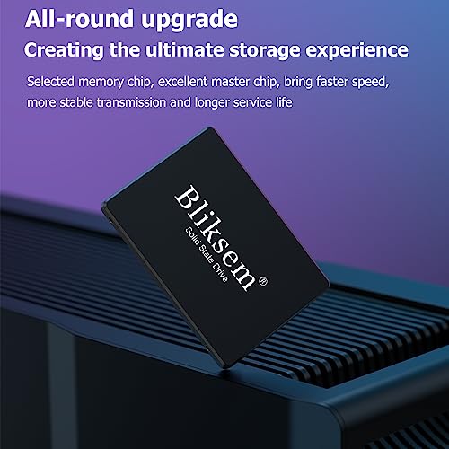 Bliksem 1TB SSD for Gaming Laptop and PC