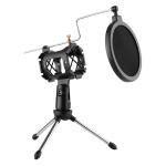 Broadcasting Studio Recording PC Laptop Condenser Microphone Kit