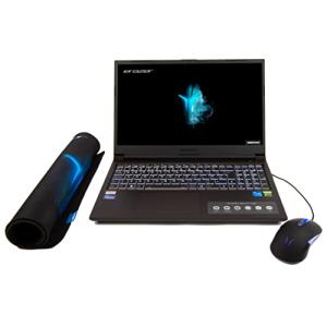 MEDION ERAZER Deputy P30 Gaming Laptop i5 RTX 3060