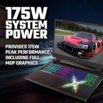 Acer Nitro 17 Gaming Laptop - Ryzen 7, RTX 4060