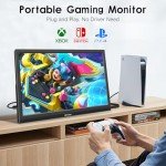 Ulrhzar 17.3" Portable Gaming Monitor with Speakers