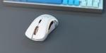 Glorious Model D Wireless Gaming Mouse - White