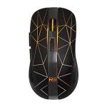 Rii RM200 Rechargeable Wireless Gaming Mouse