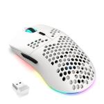 CROSS ZEBRA T66 Wireless Gaming Mouse - White