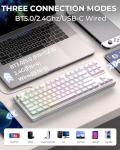 VidaTeco K87 Wireless 80% Mechanical Gaming Keyboard