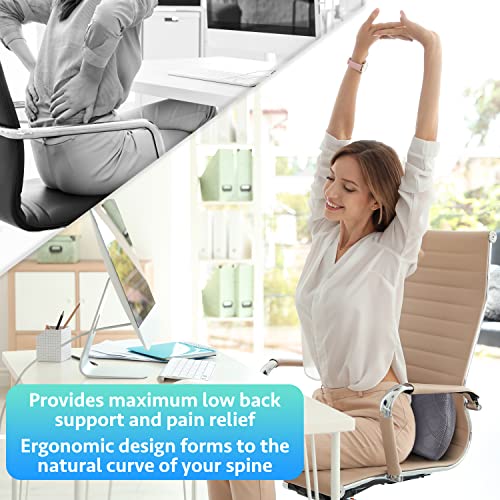 Life Design Lumbar Support Memory Foam Pillow – Lumbar Support Pillow for Office Chair – Lower Back Pain Relief – Great for Car Seat, Back Support, Computer Chair, Gaming Chair, Recliner Chair (Grey)