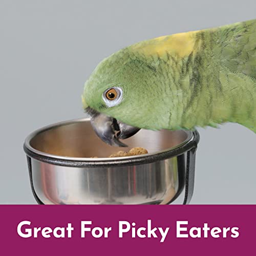 Kaytee Parrot & Conure Bird Food, 3lb