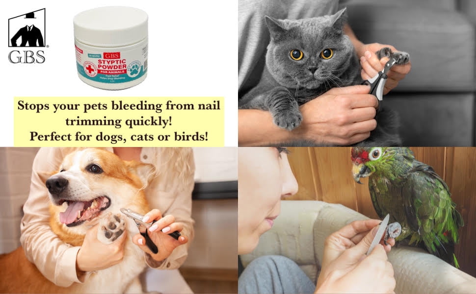 Fast-Acting Styptic Powder for Parrots