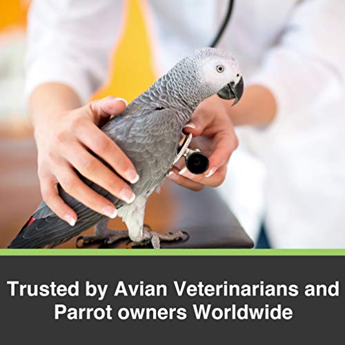 Parrot Seed Supplement with Vitamins & Minerals