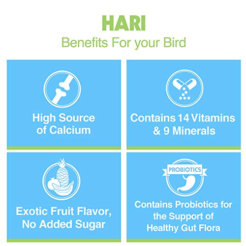 Parrot Seed Supplement with Vitamins & Minerals
