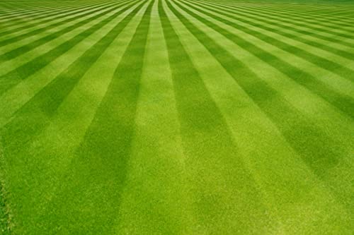 Robotic Lawn Mower Blades for Husqvarna, Gardena & More