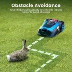 Winado 20V Smart Robotic Lawn Mower