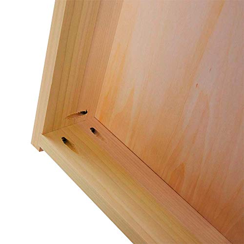 ACA Professional Cornhole Boards - Regulation Star Design