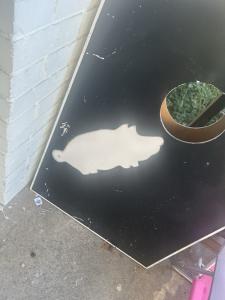 Premium Solid Wood Cornhole Set - 8 Toss Bags, 4ft x 2ft/3ft Game Boards