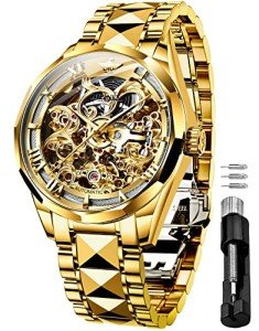 OUPINKE Men's Luxury Skeleton Mechanical Watch - Gold
