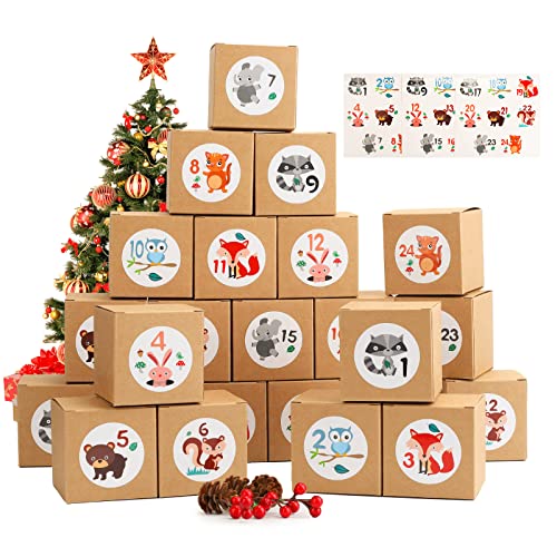 Herefun Advent Calendar Boxs, 24 Christmas Boxes, DIY Christmas Advent Calendar, Advent Calendar, 24 Advent Gift Box, Christmas Countdown Calendar, Christmas for Handicrafts and Decoration Parties (1)