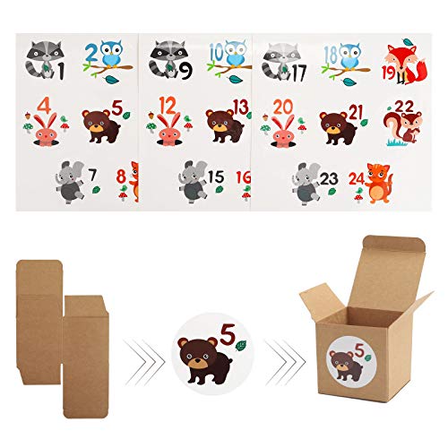 Herefun Advent Calendar Boxs, 24 Christmas Boxes, DIY Christmas Advent Calendar, Advent Calendar, 24 Advent Gift Box, Christmas Countdown Calendar, Christmas for Handicrafts and Decoration Parties (1)