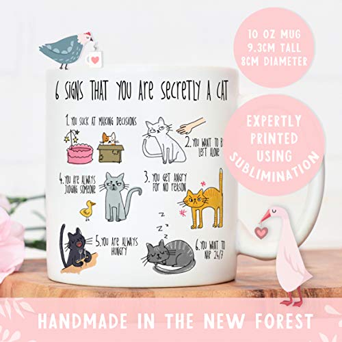 Six Signs You are Secretly a cat Mug | cat Mug for cat Lovers Crazy cat Lady | cat Mugs for Women Men | Gifts for Animal Lovers Christmas Birthday Present
