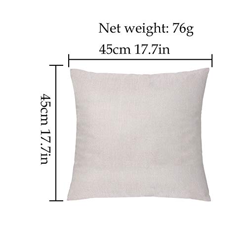 GHORIHUB Funny Couples Cushion Case Linen Throw Pillow Cover Rawr Means I Love You in Dinosaur to Wife Husband Hug Pillowcases Valentines Day Wedding Anniversary Christmas