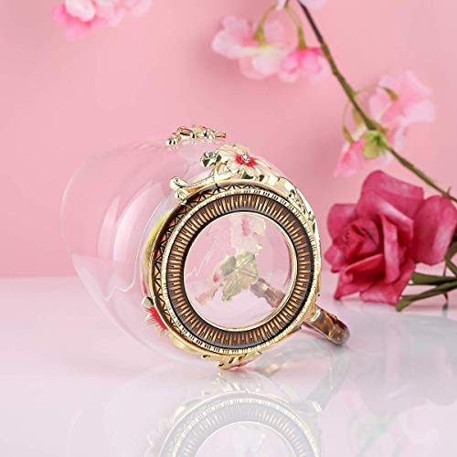 Luka Tech Handmade Enamel Butterfly Flower Glass Coffee Mugs Tea Cup with Spoon, Birthday Christmas Gifts for Her Women Mum Friends Mothers Day(Red-Tall)