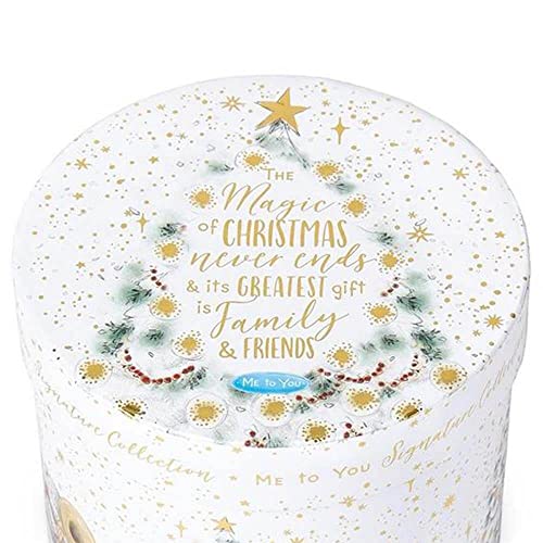 Me To You Bear Magic of Christmas Signature Collection Gift Boxed Acrylic Mug, XGM01010, Blue,grey